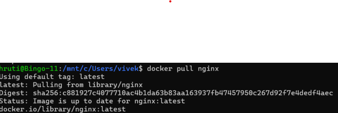 Step 1 – Pull Docker Image