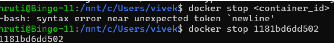 Step 4 – Stop Container